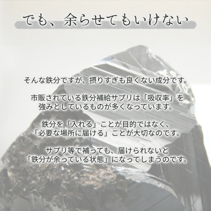 アポラクトフェリンサプリメント 約15日分