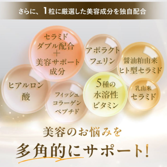 エルセラーン　ロイヤルクリーム　セラミド配合 定価22000円 セラ美ド（セラミド）アポラクトフェリン配合 – アップウェル
